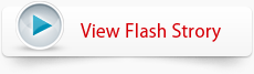 View Flash Story